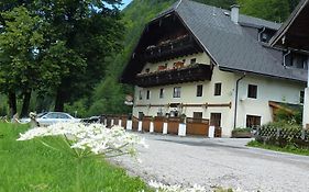 Gasthof Steinbräu